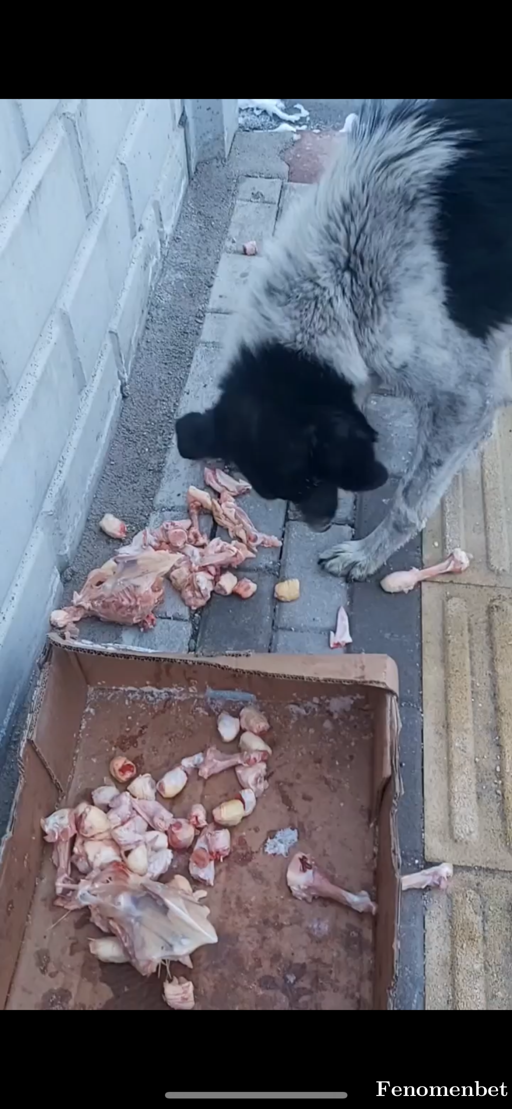 tugittoo tarafından paylaşıldı