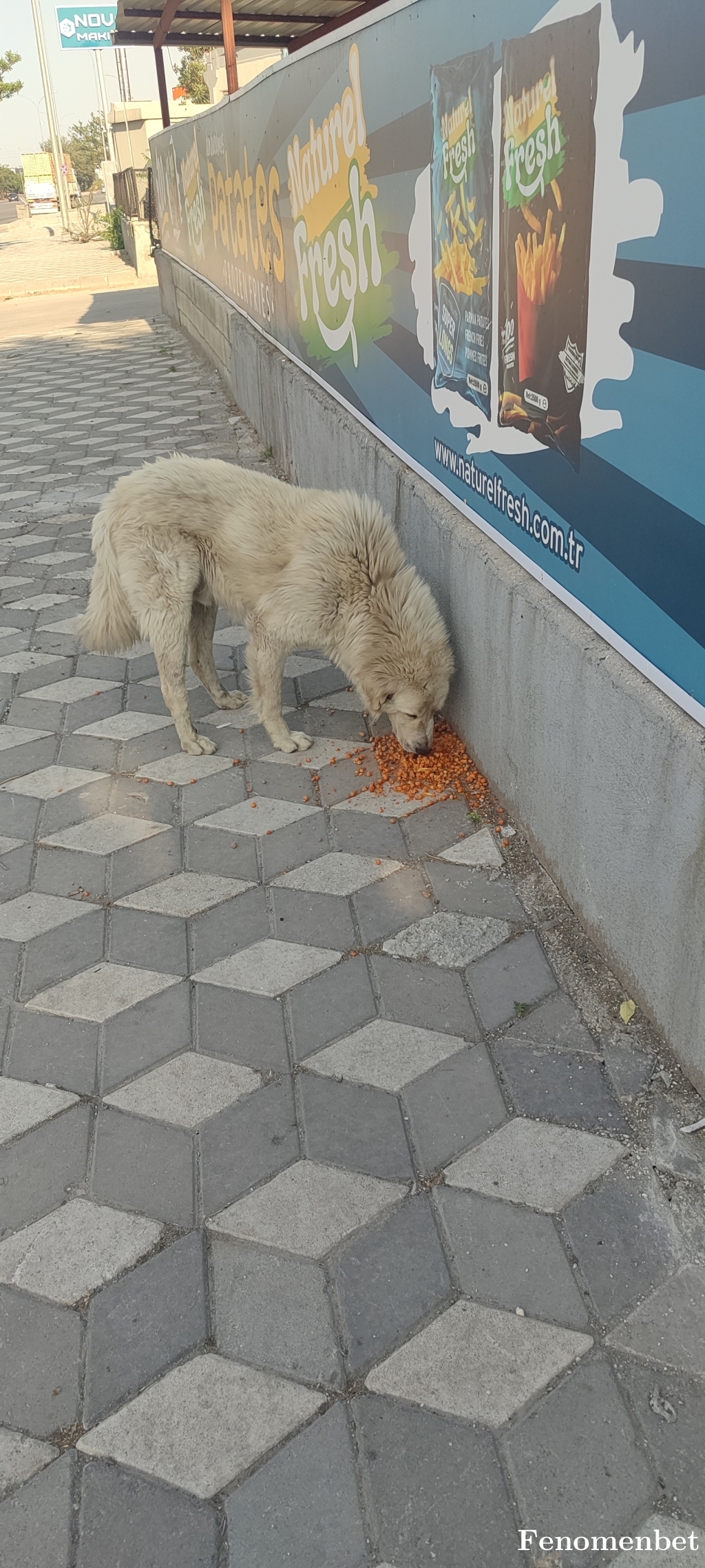 Azizguney27 tarafından paylaşıldı