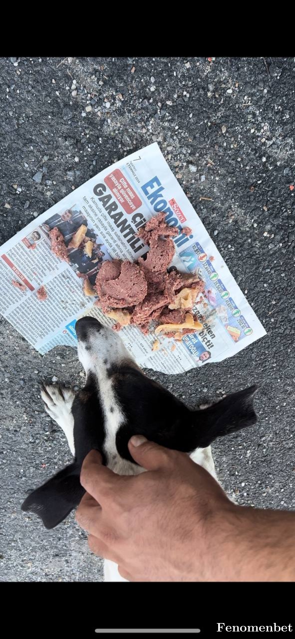 sandrobudel tarafından paylaşıldı
