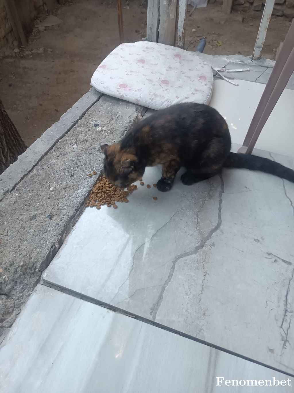 Usta2362 tarafından paylaşıldı