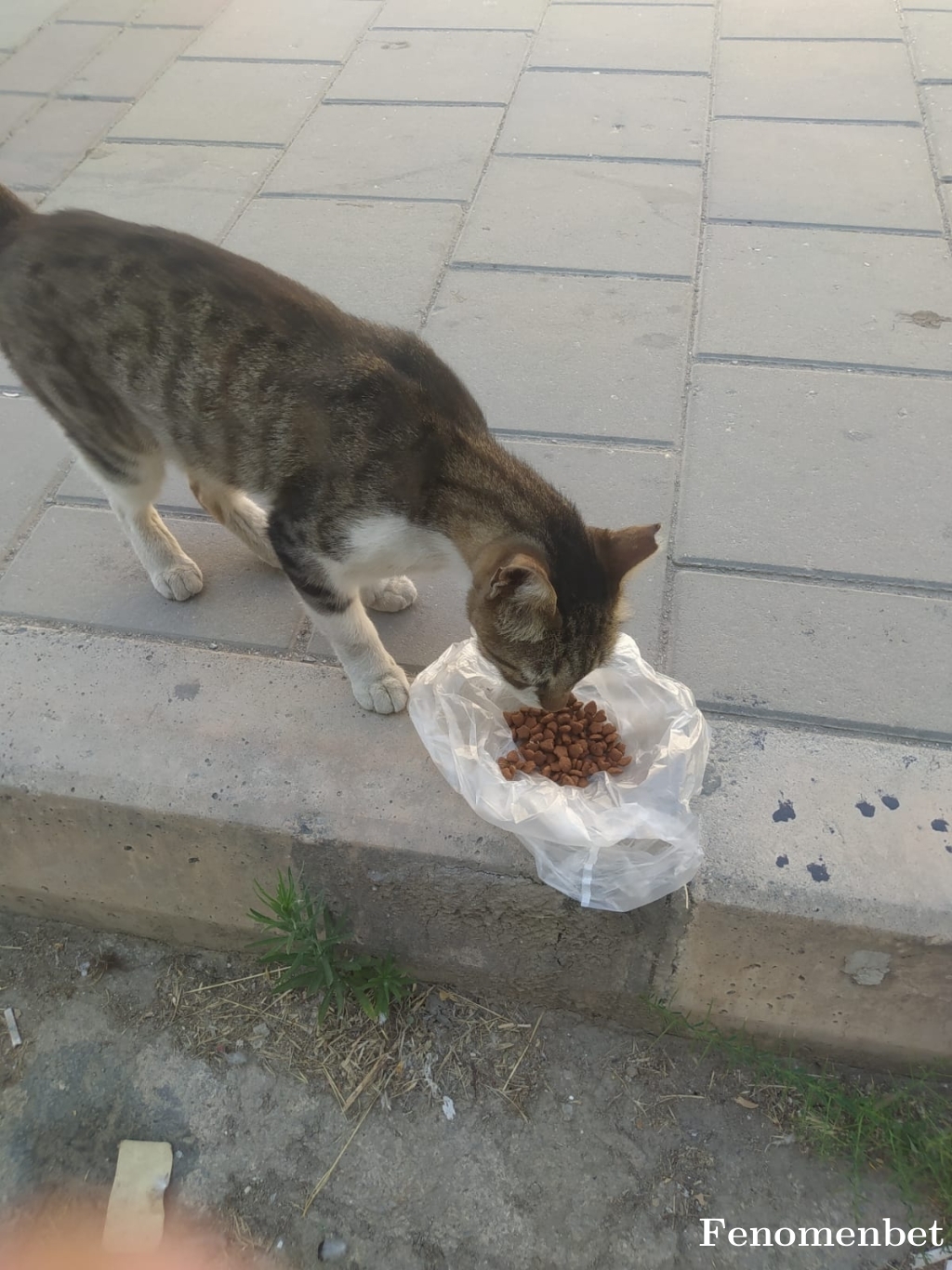 ilkayulu tarafından paylaşıldı
