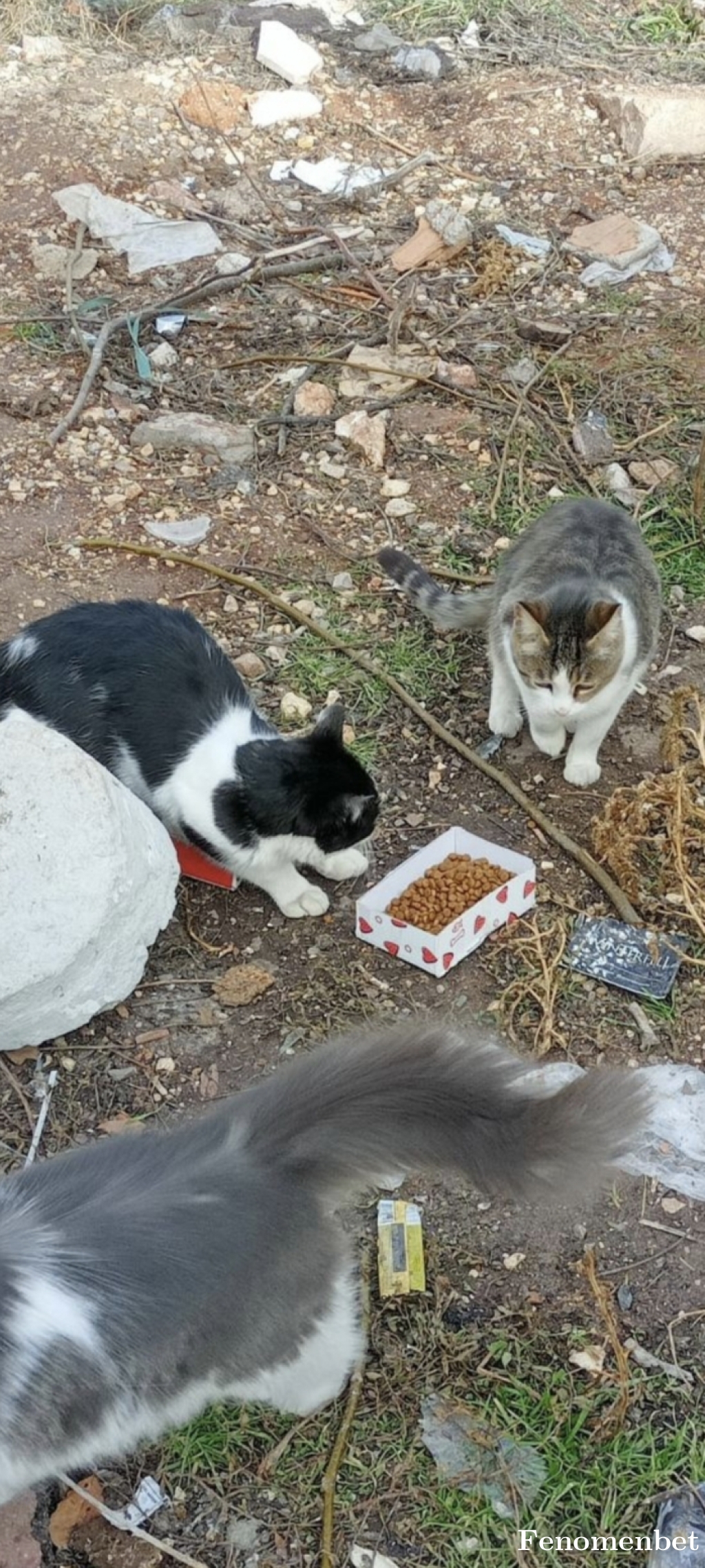 messss24 tarafından paylaşıldı