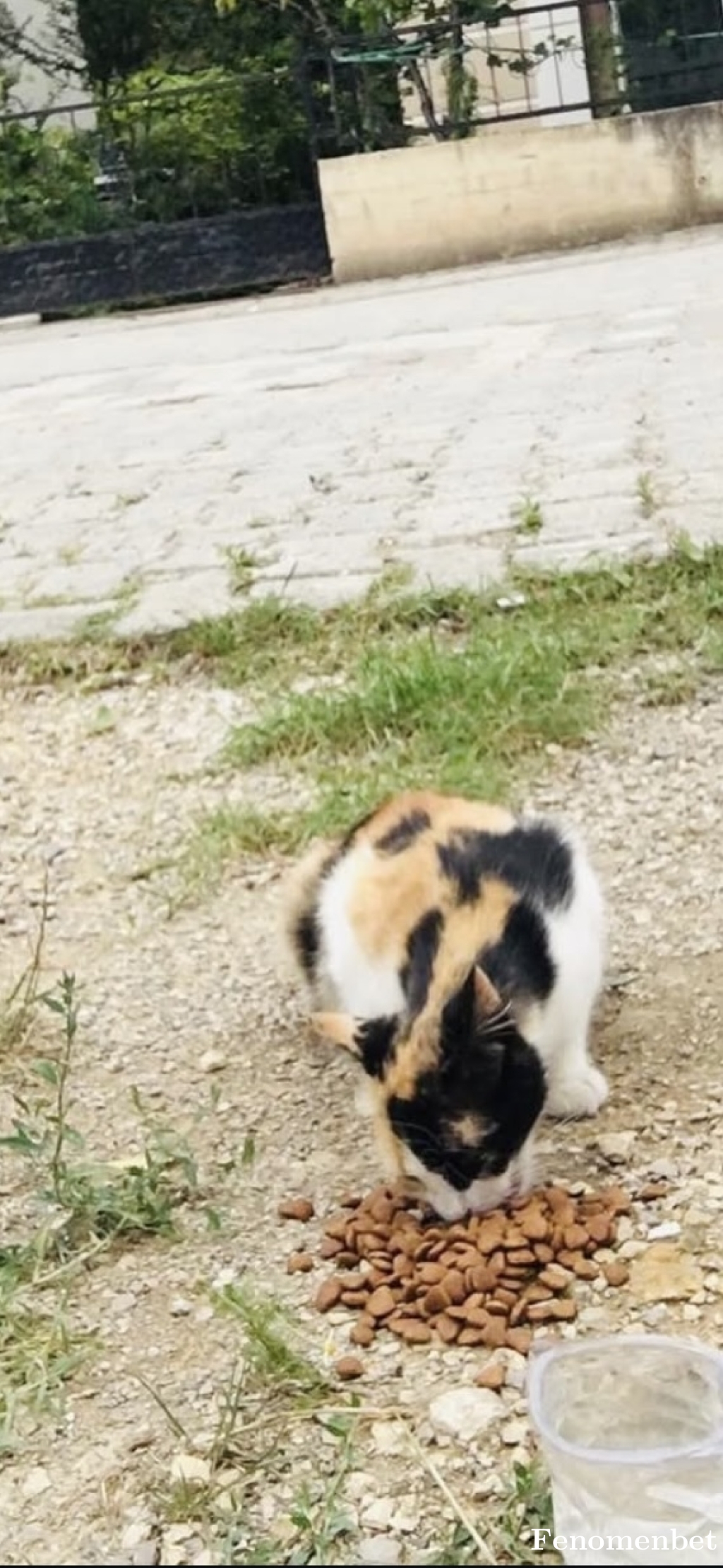 Mermel  tarafından paylaşıldı