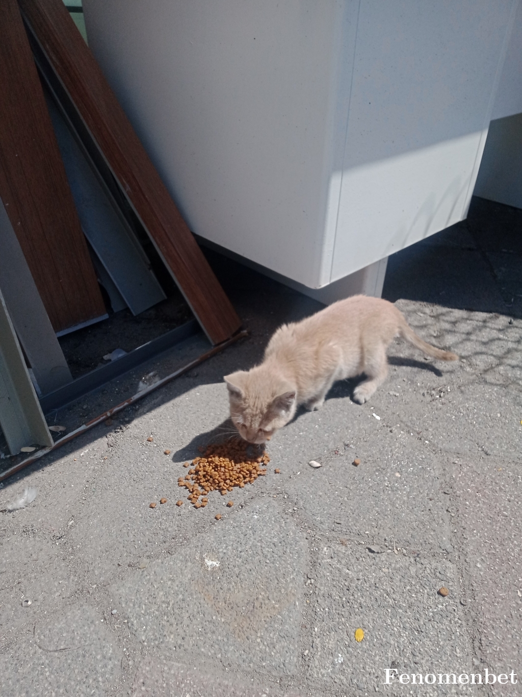 Recepckr tarafından paylaşıldı