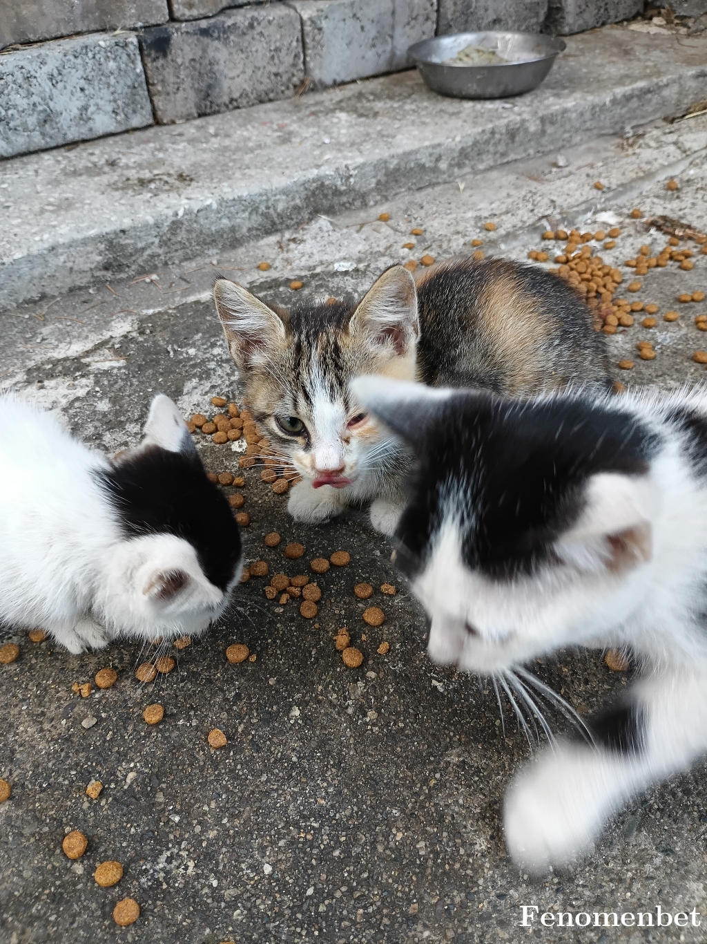 sisero46 tarafından paylaşıldı