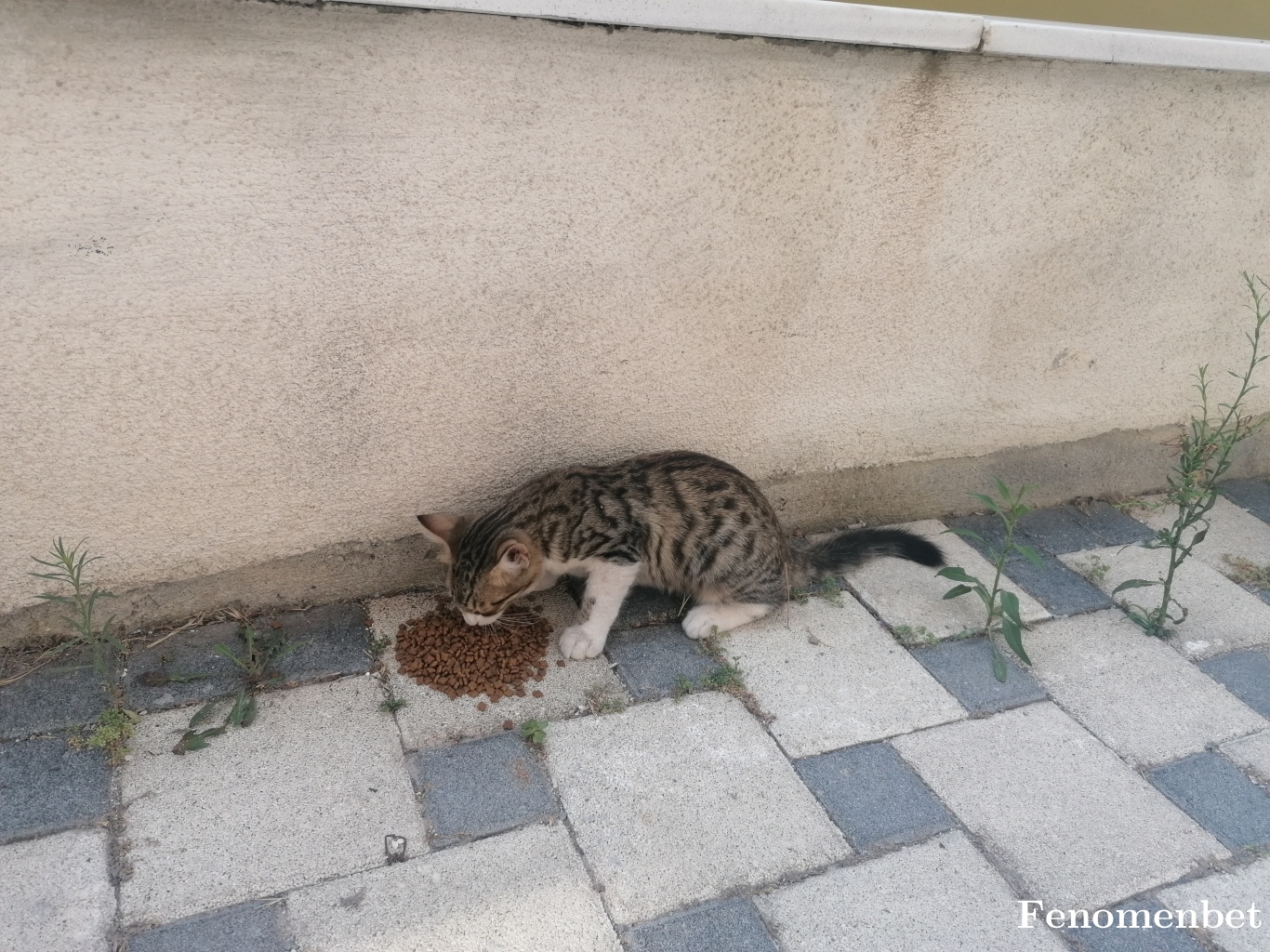 Pati1090 tarafından paylaşıldı