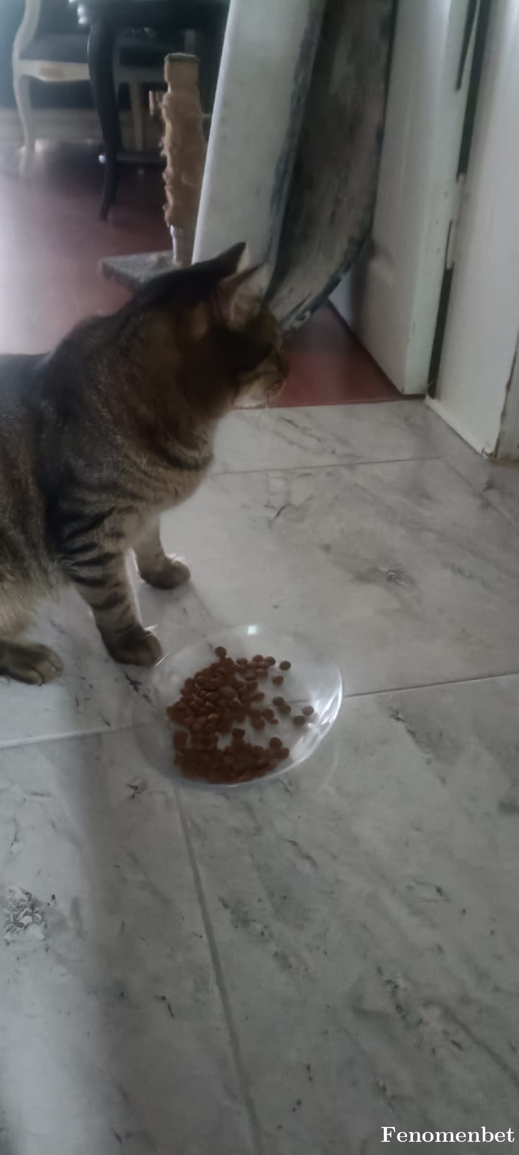 Plt123 tarafından paylaşıldı