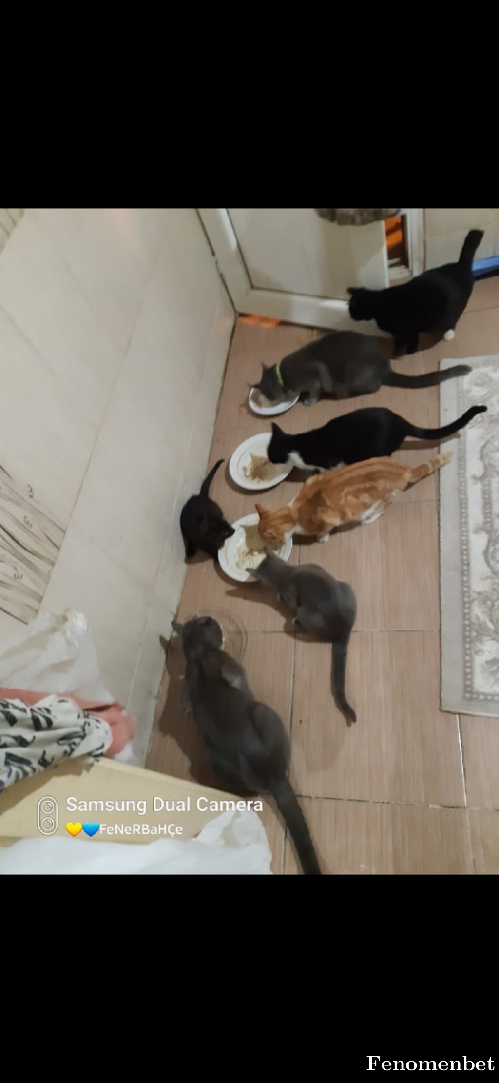 Enesyyl tarafından paylaşıldı