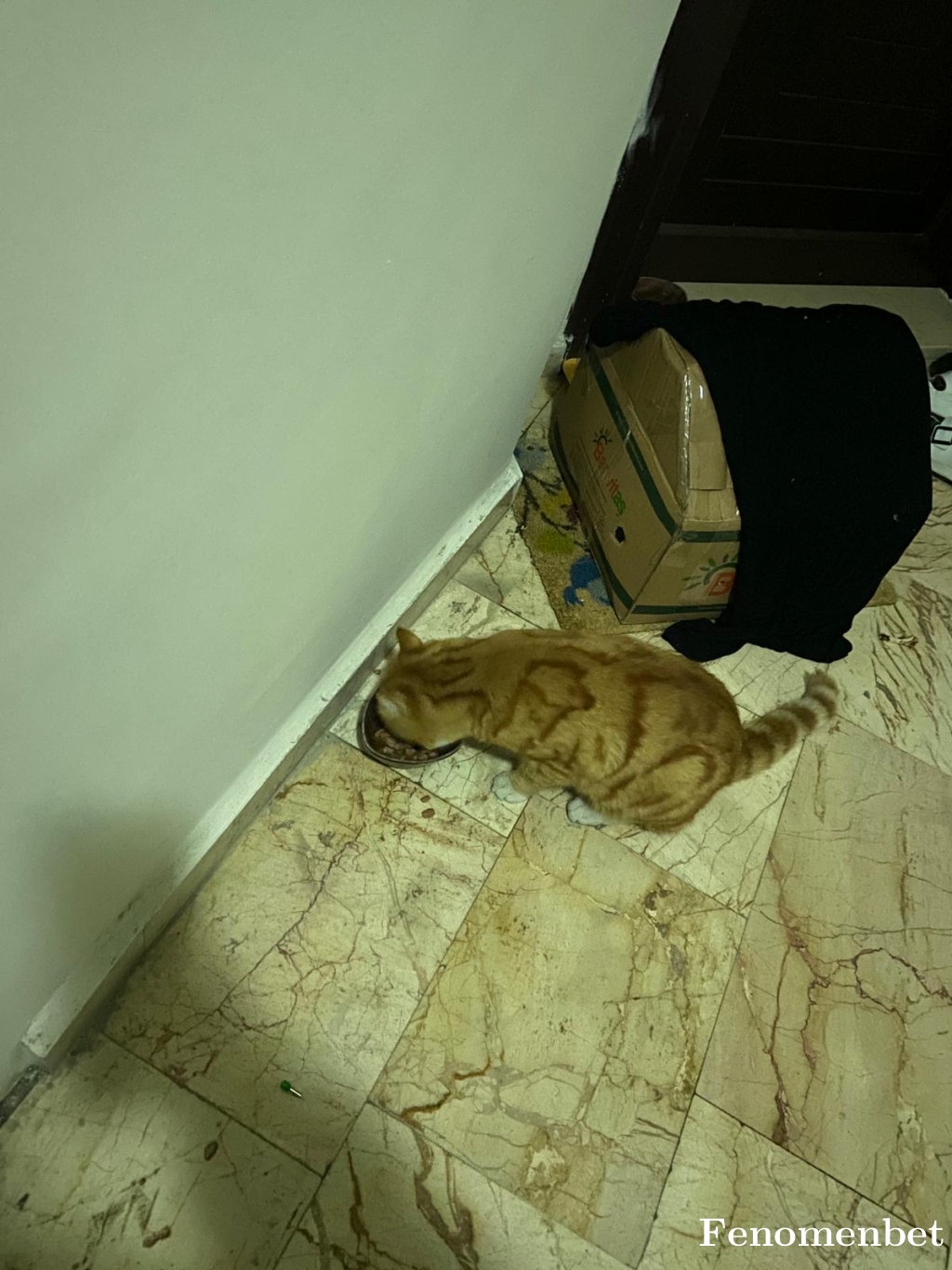 Alibabi tarafından paylaşıldı