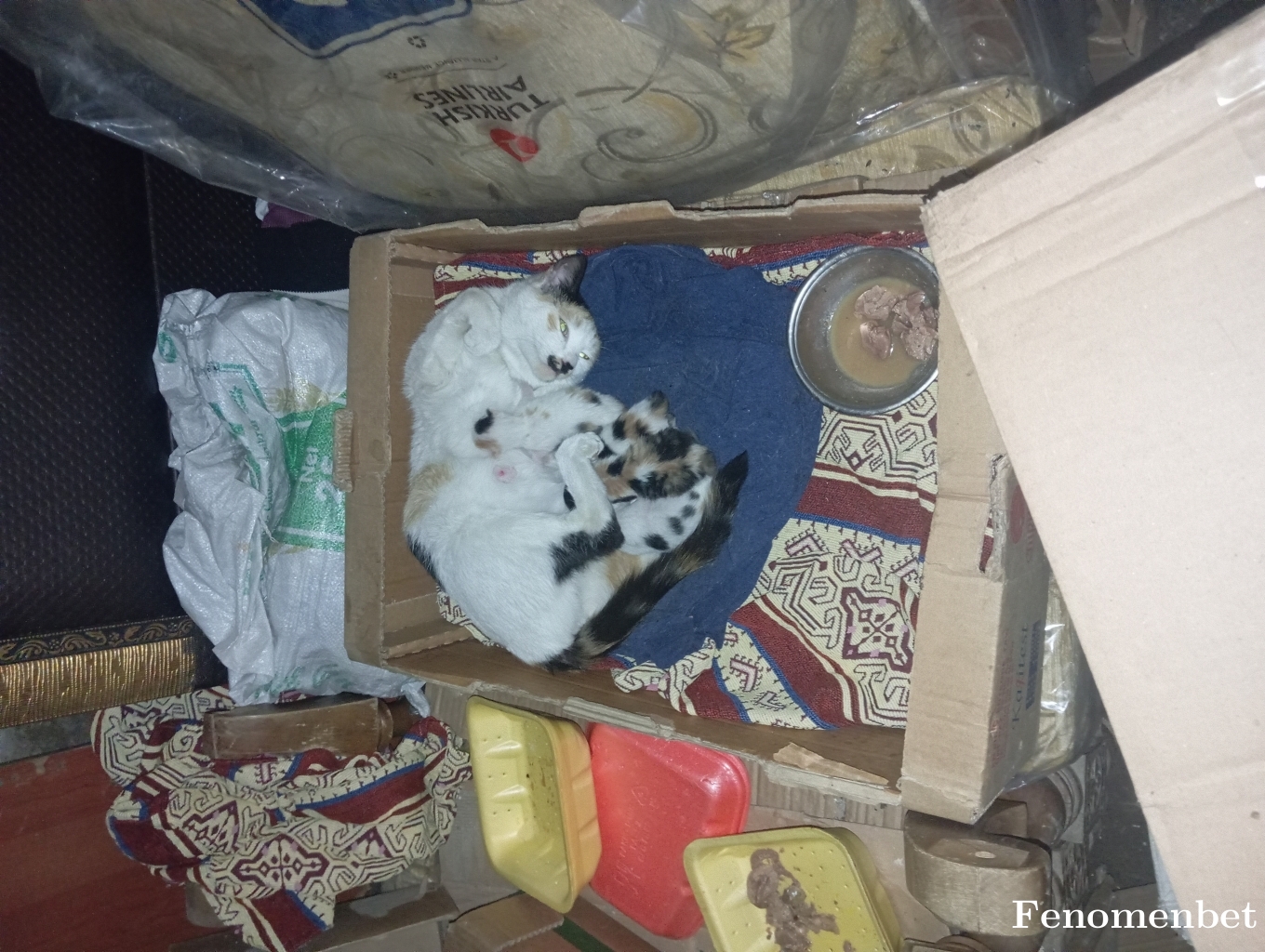 Muhammetbeyik  tarafından paylaşıldı