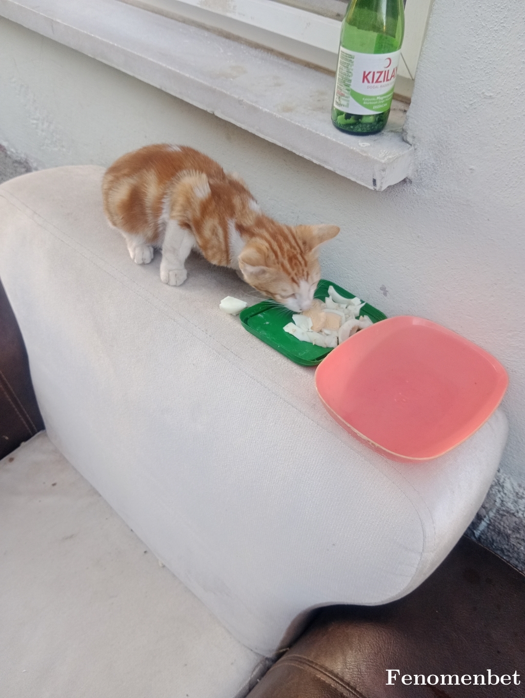 Alidrk tarafından paylaşıldı