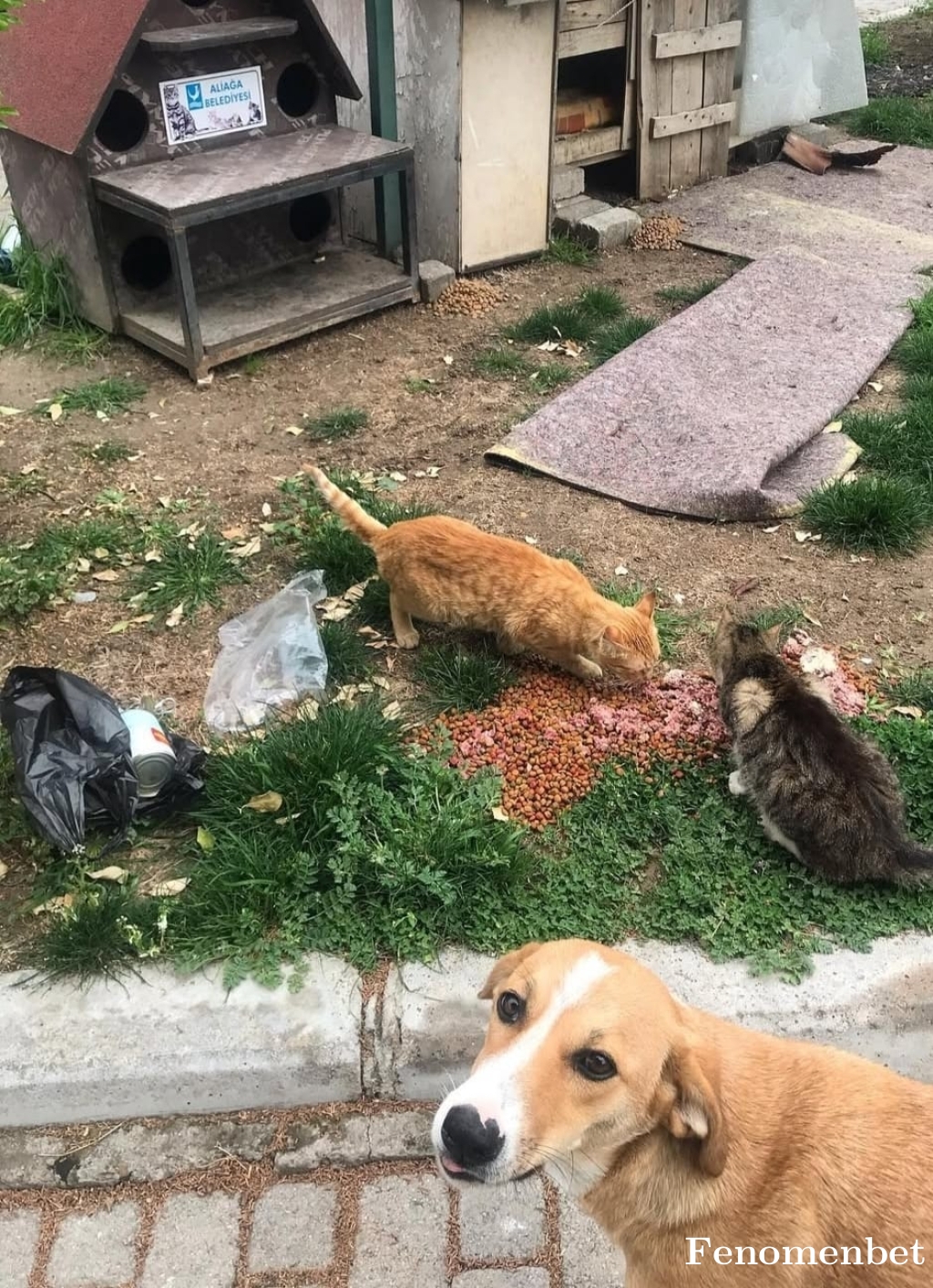 Cetinkaya07 tarafından paylaşıldı