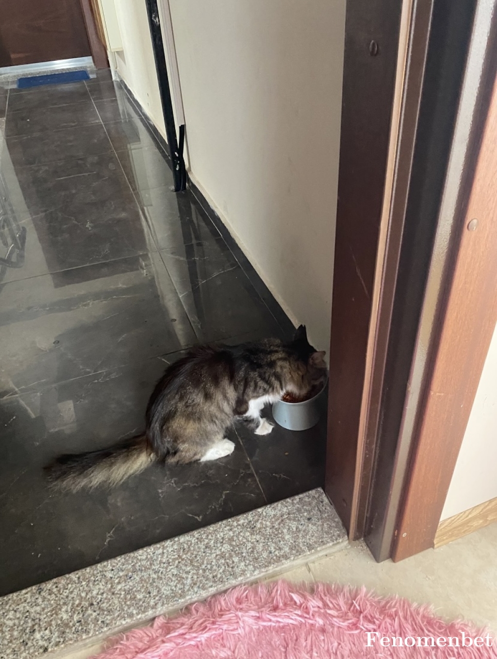 amineharit25 tarafından paylaşıldı