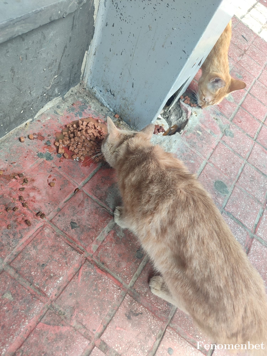 hendiv tarafından paylaşıldı