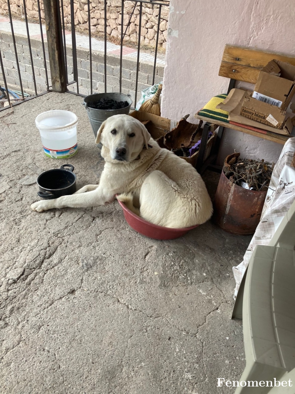 testament50 tarafından paylaşıldı