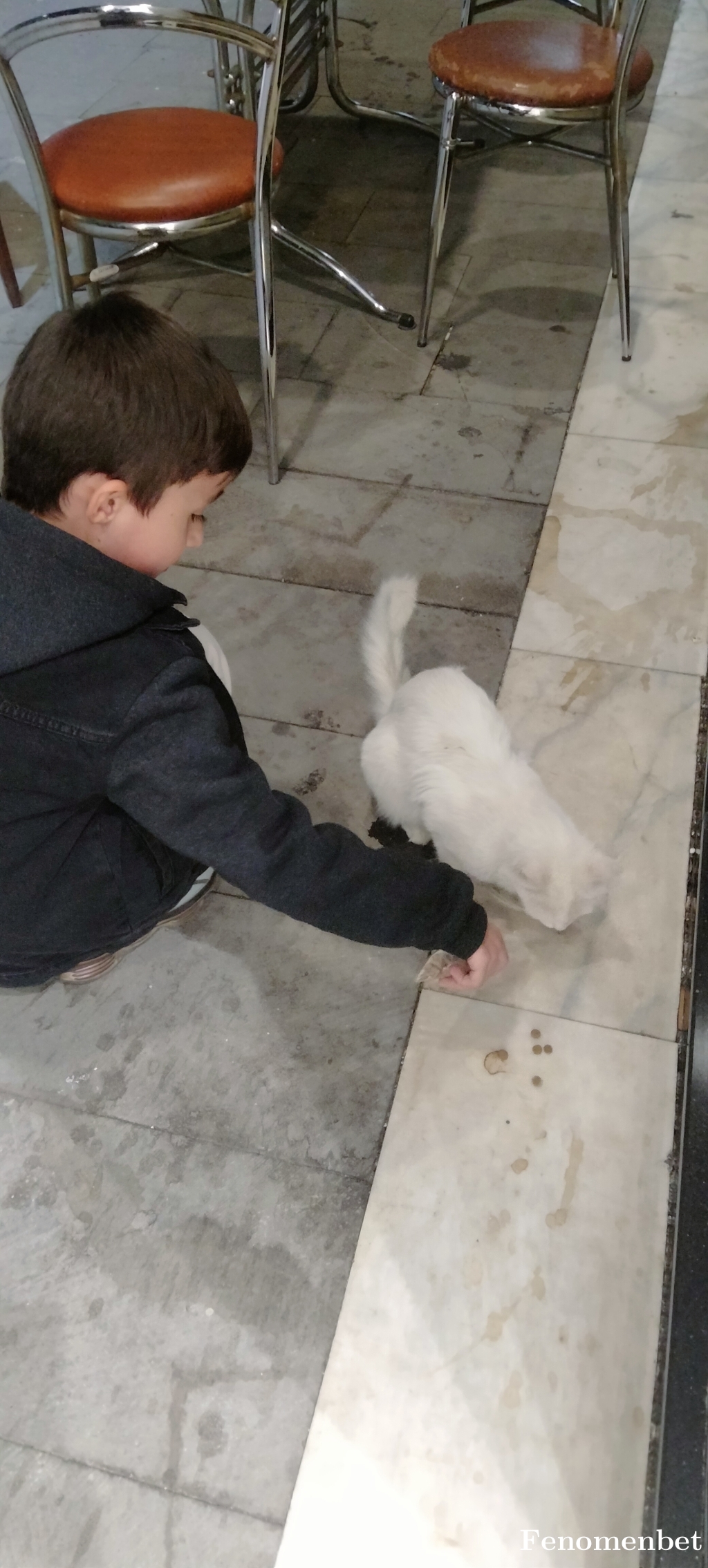 silver58 tarafından paylaşıldı