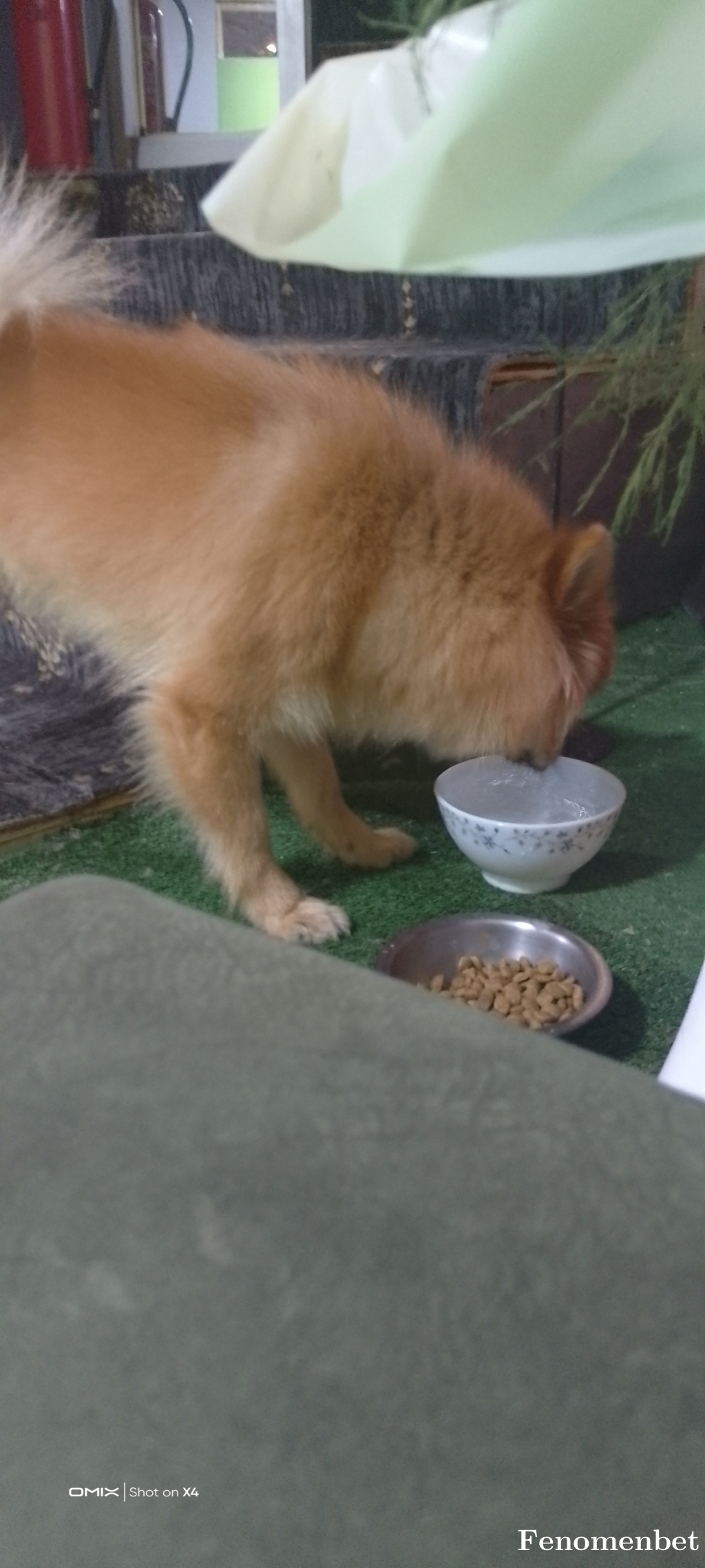 Cihangir3327 tarafından paylaşıldı