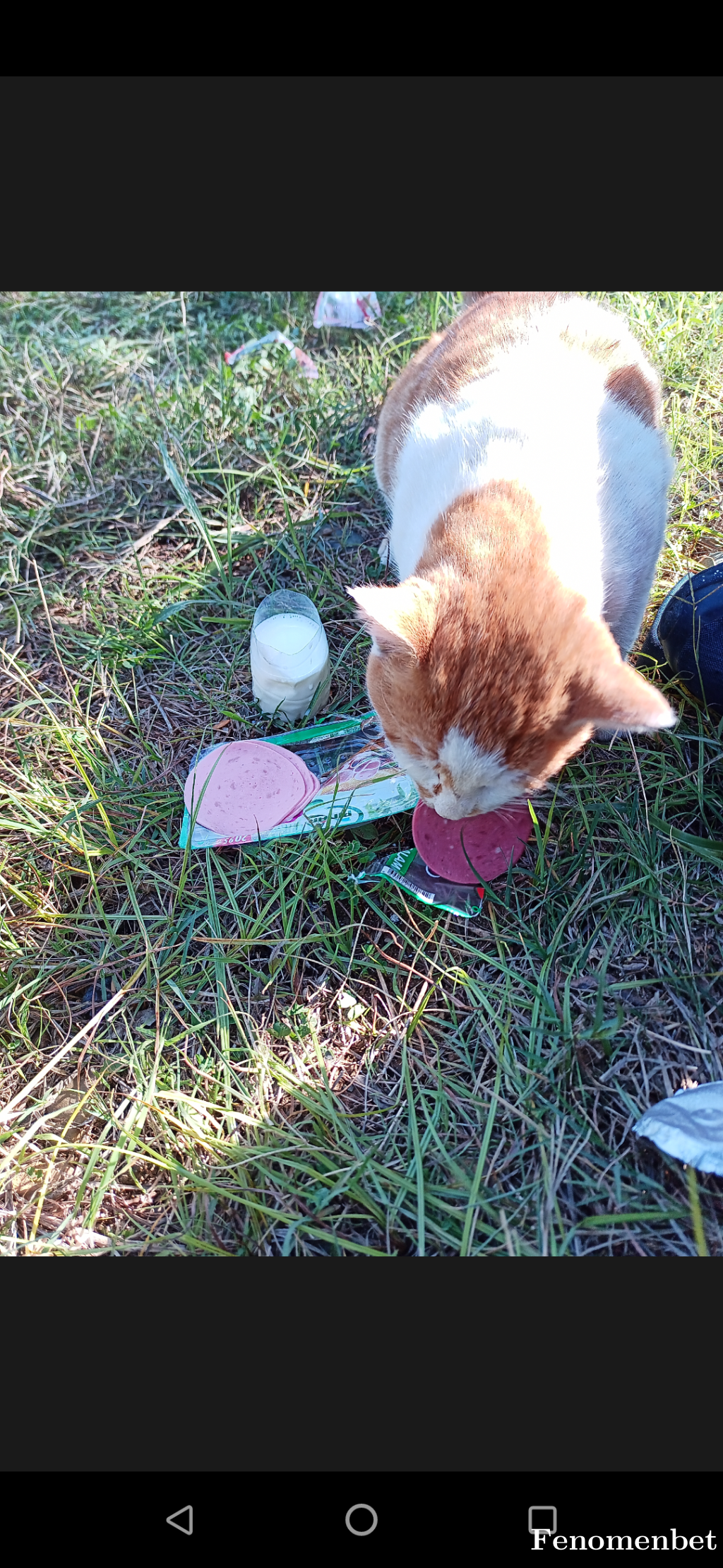 Metin5252 tarafından paylaşıldı