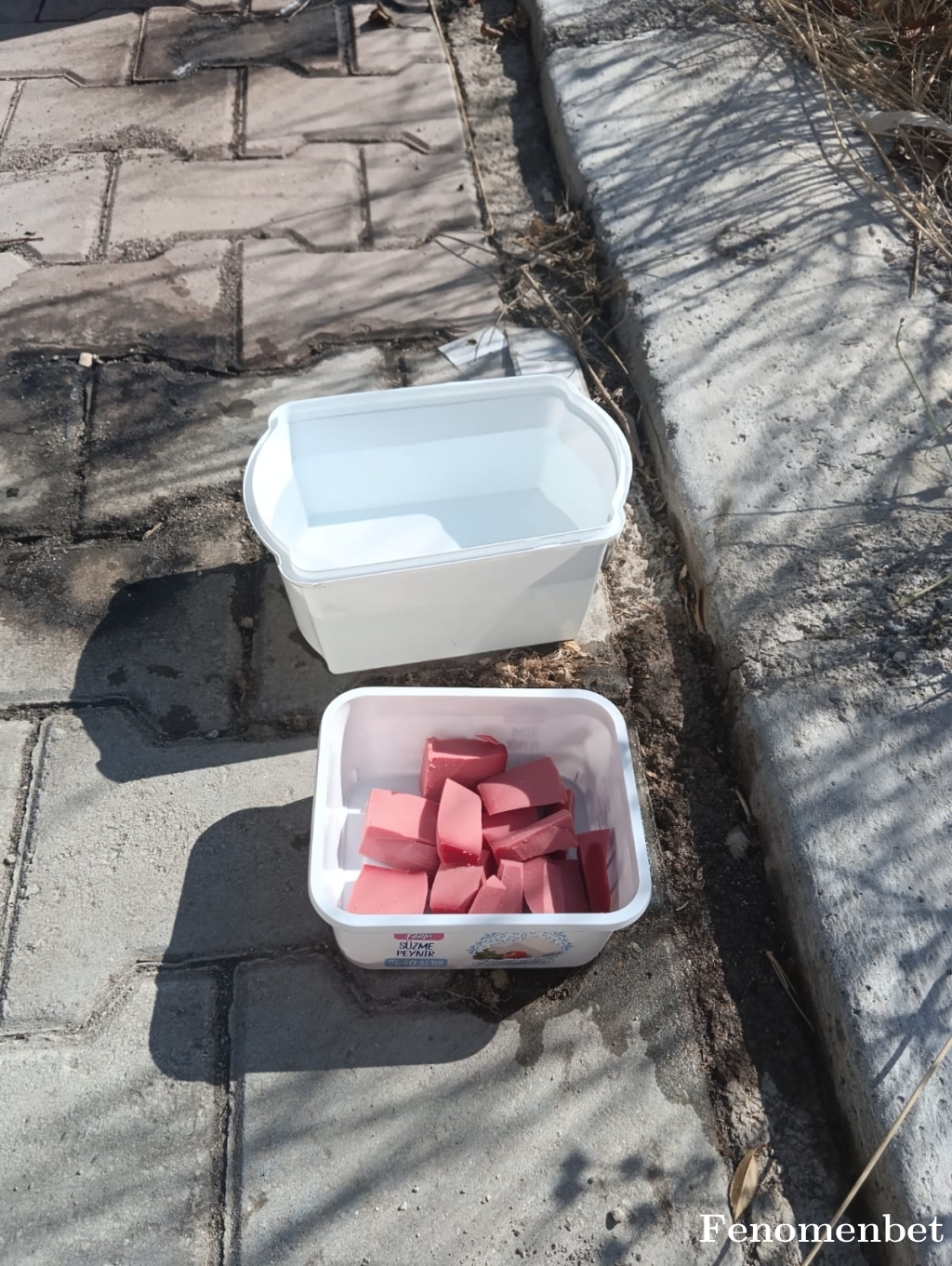 bombaci20 tarafından paylaşıldı