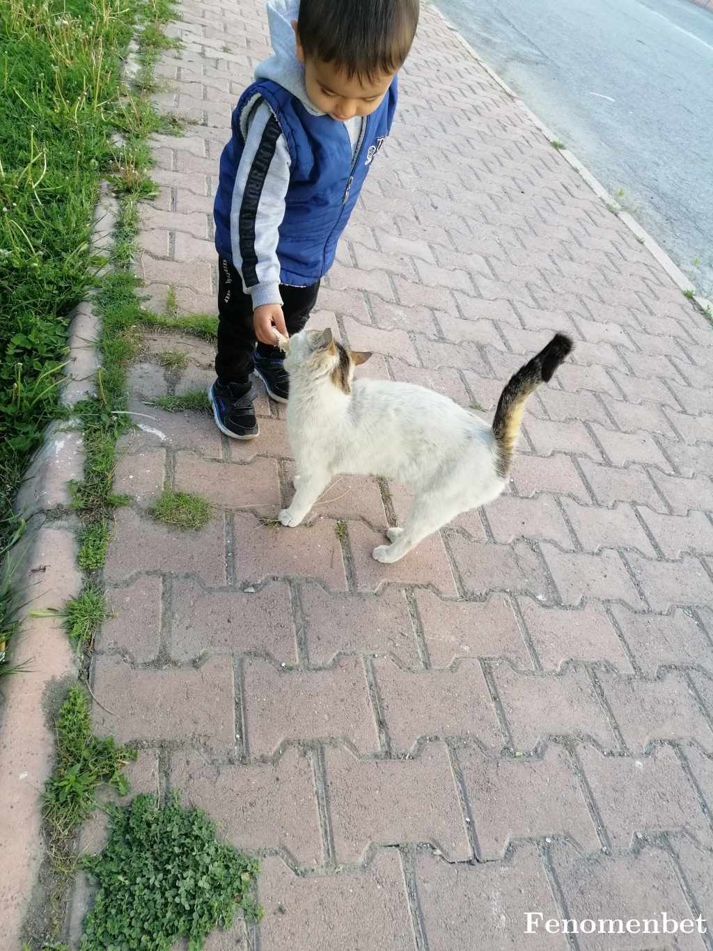 Baba5038 tarafından paylaşıldı