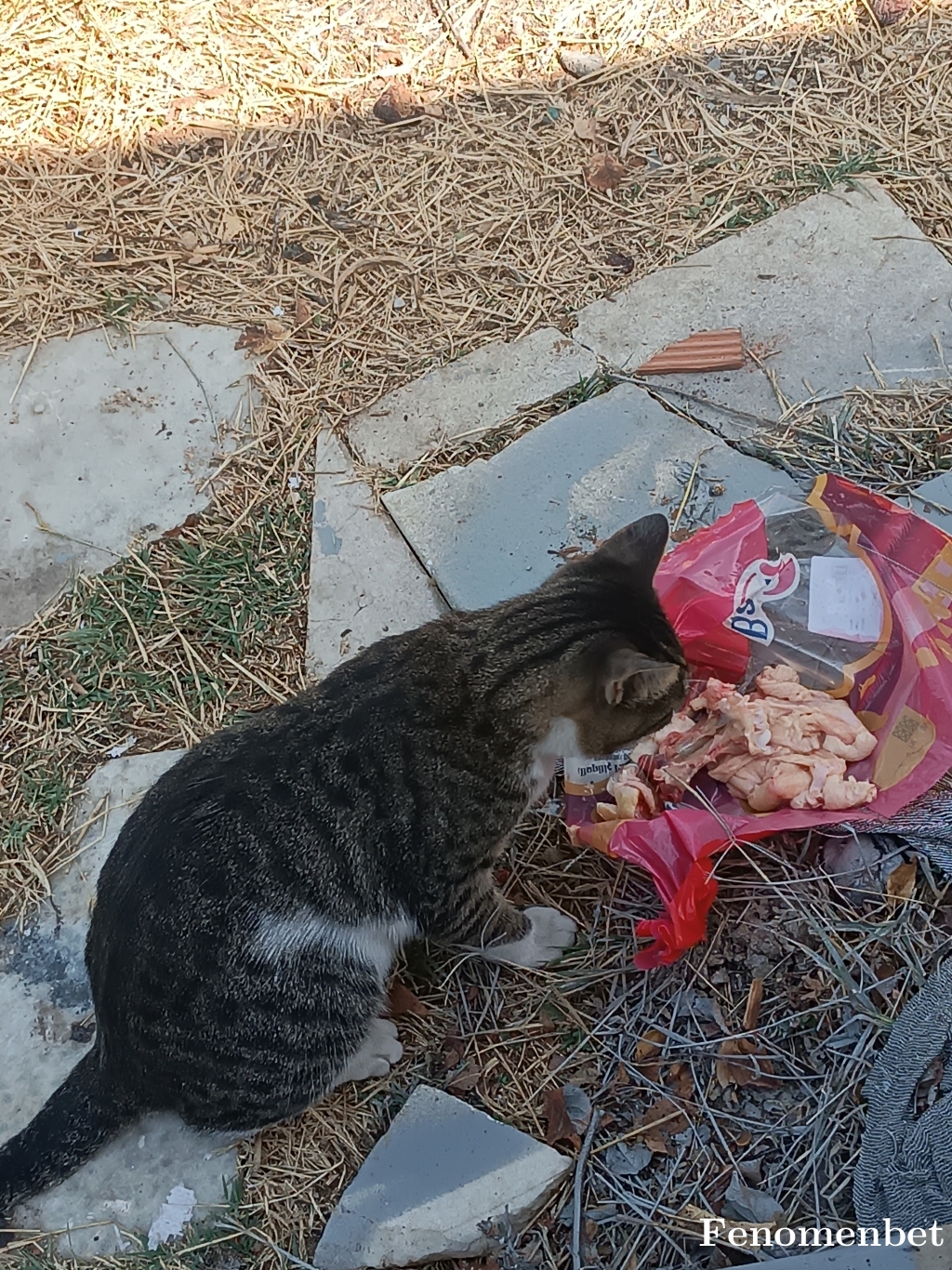 toplamanaliz tarafından paylaşıldı