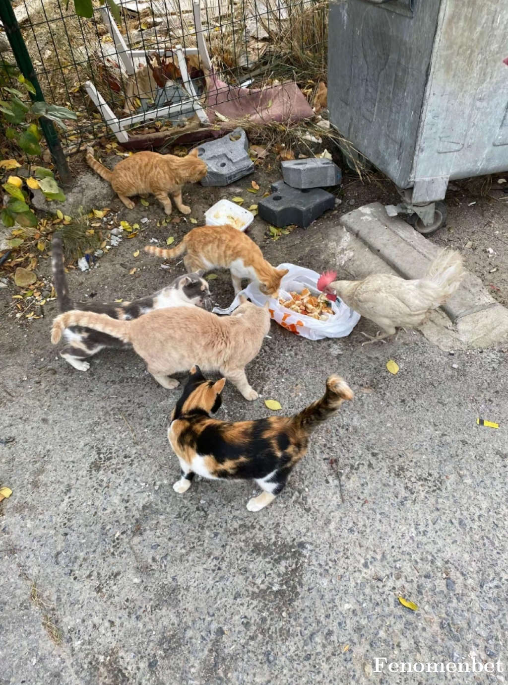 dogukanngrbzz tarafından paylaşıldı