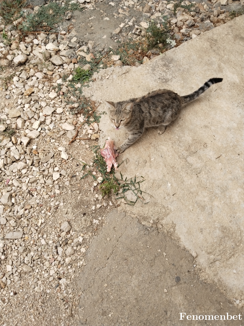 Zeychan tarafından paylaşıldı