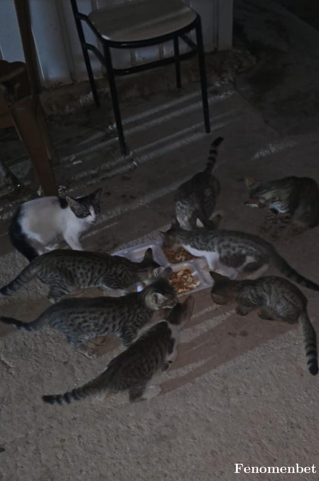Aslanbeyy1 tarafından paylaşıldı