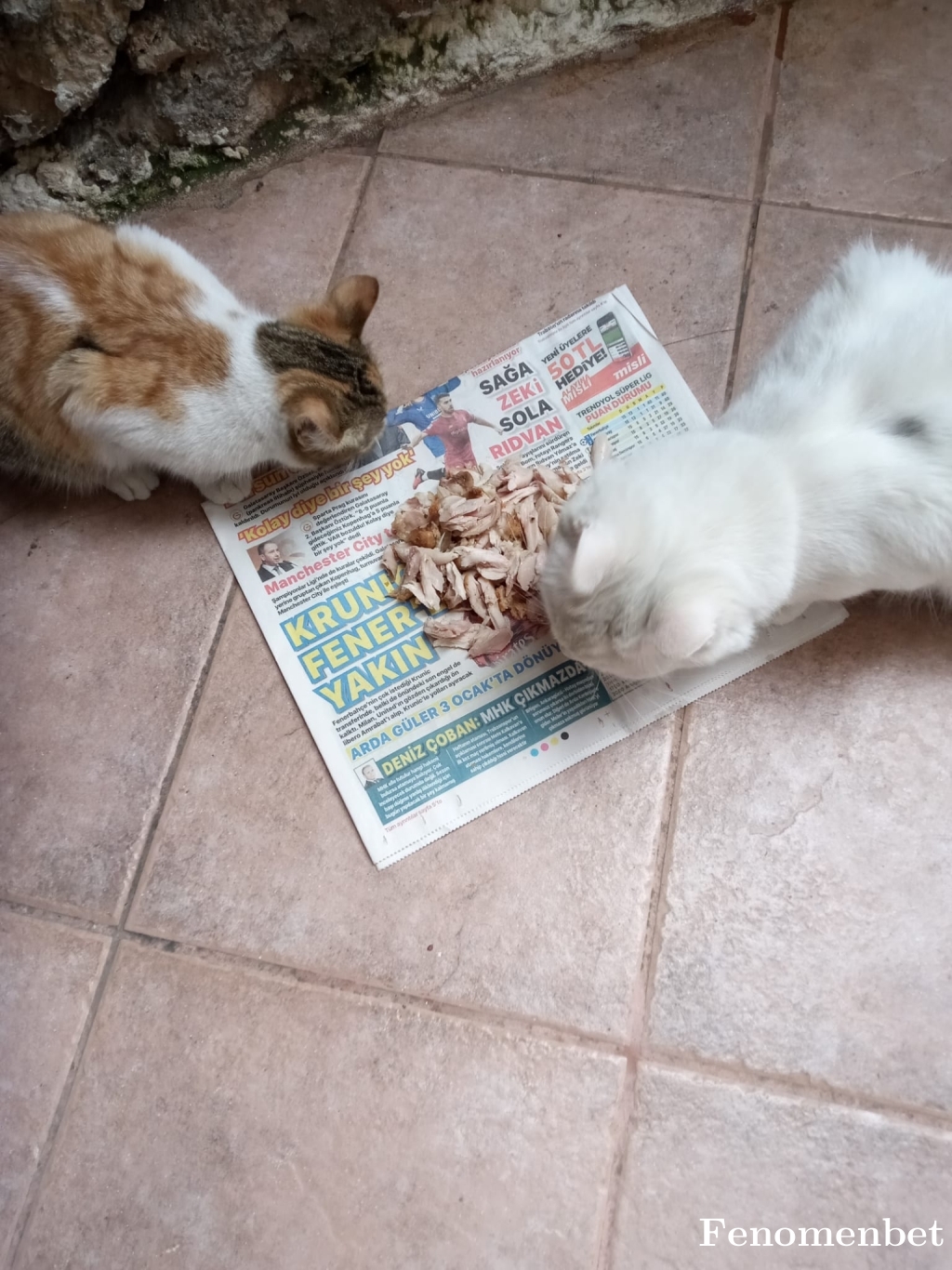 memnoni tarafından paylaşıldı