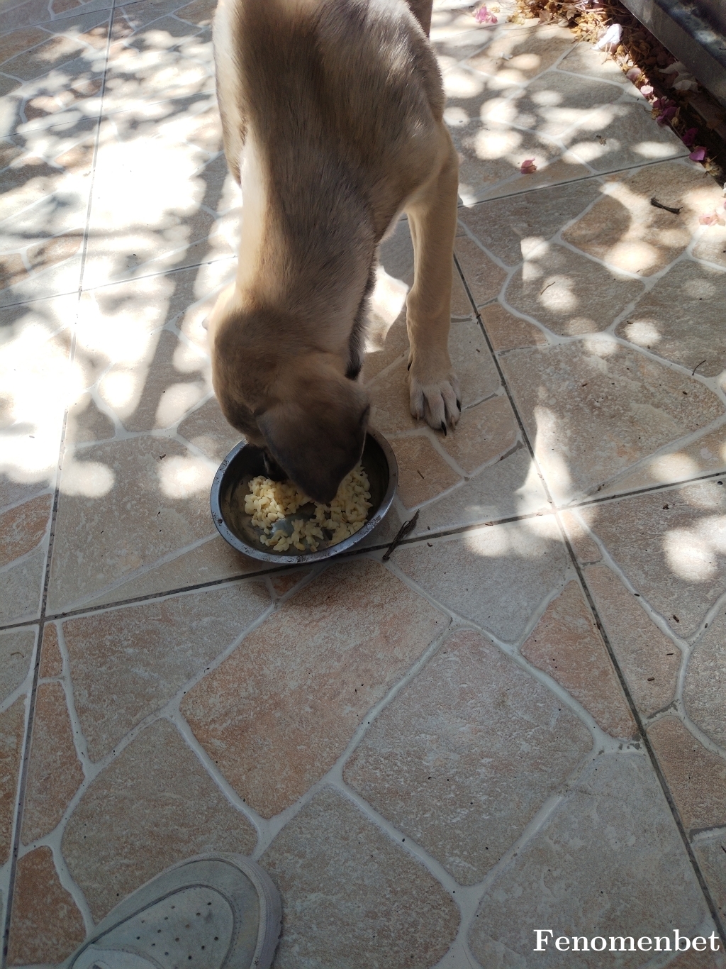 Cantekbas tarafından paylaşıldı