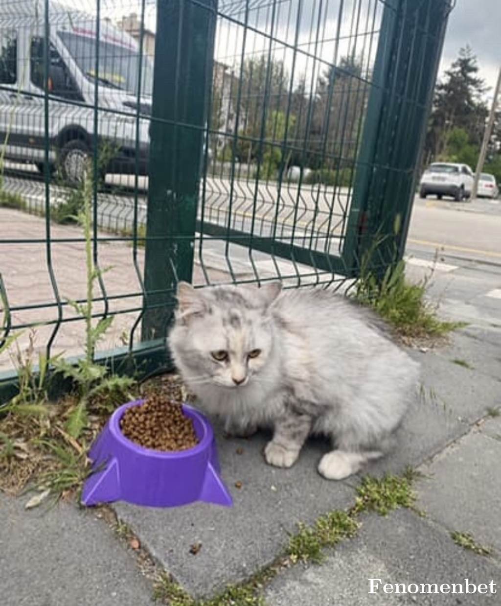 Berro14 tarafından paylaşıldı