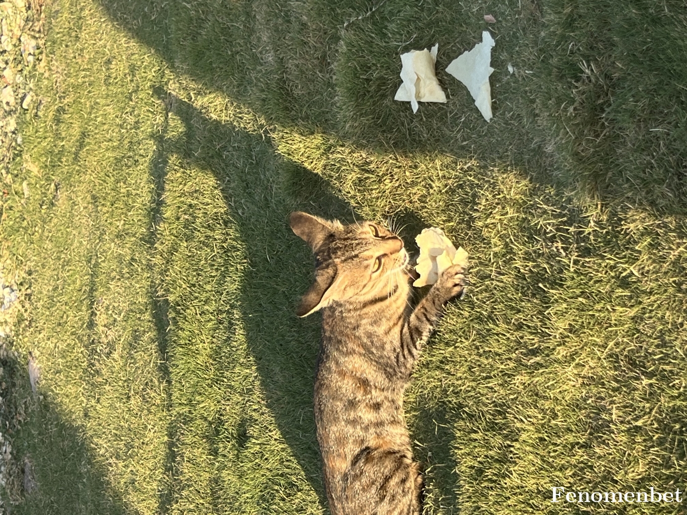 merakci6363 tarafından paylaşıldı