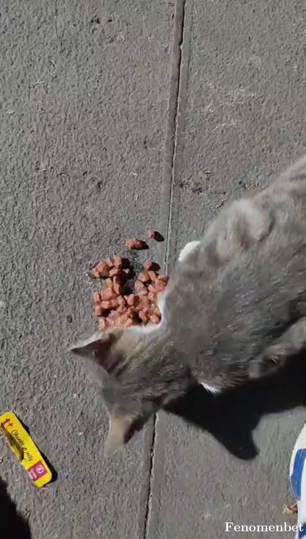 aligzltp tarafından paylaşıldı