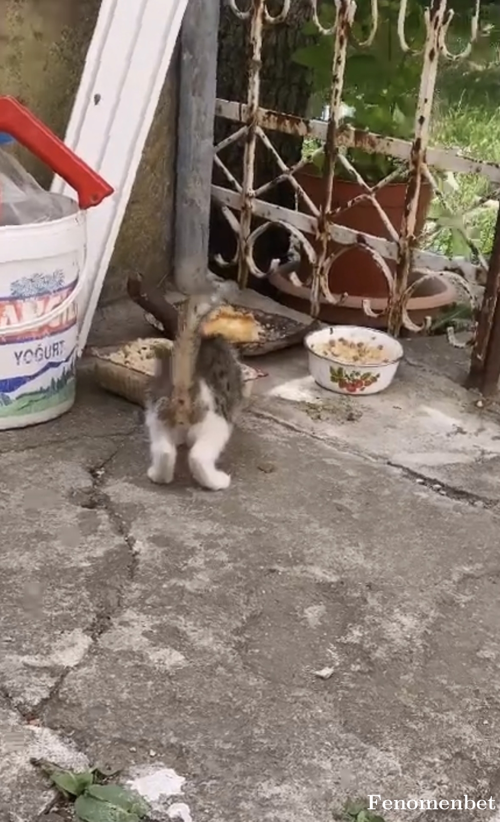 krc6666 tarafından paylaşıldı