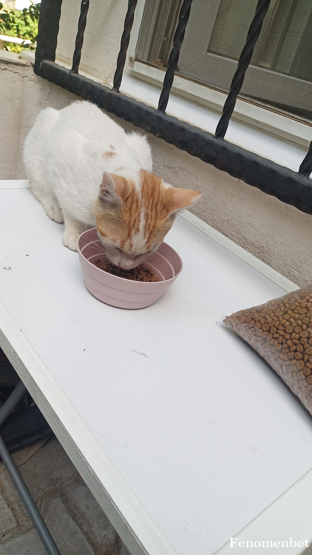 Volkobjk tarafından paylaşıldı