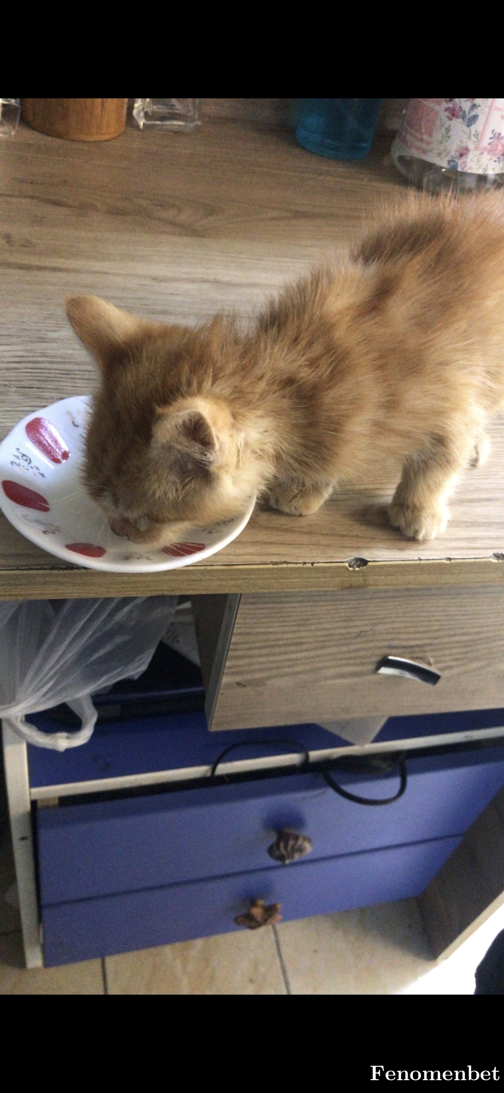 Bydadas  tarafından paylaşıldı