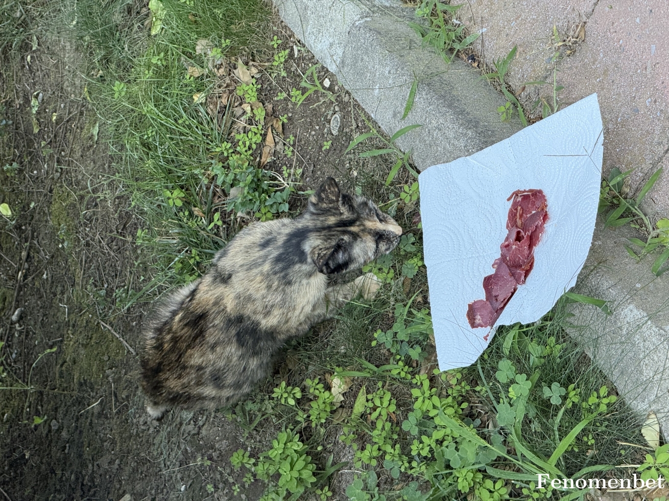 dnzqsp tarafından paylaşıldı