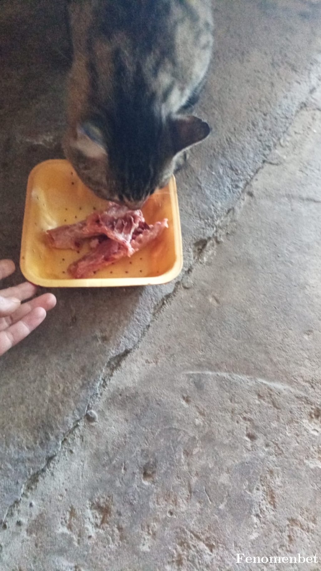 Demet44 tarafından paylaşıldı