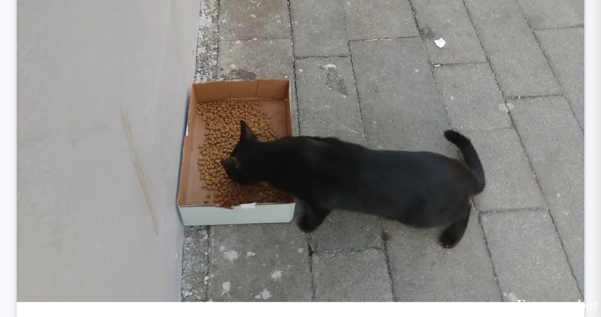 Turboo35 tarafından paylaşıldı