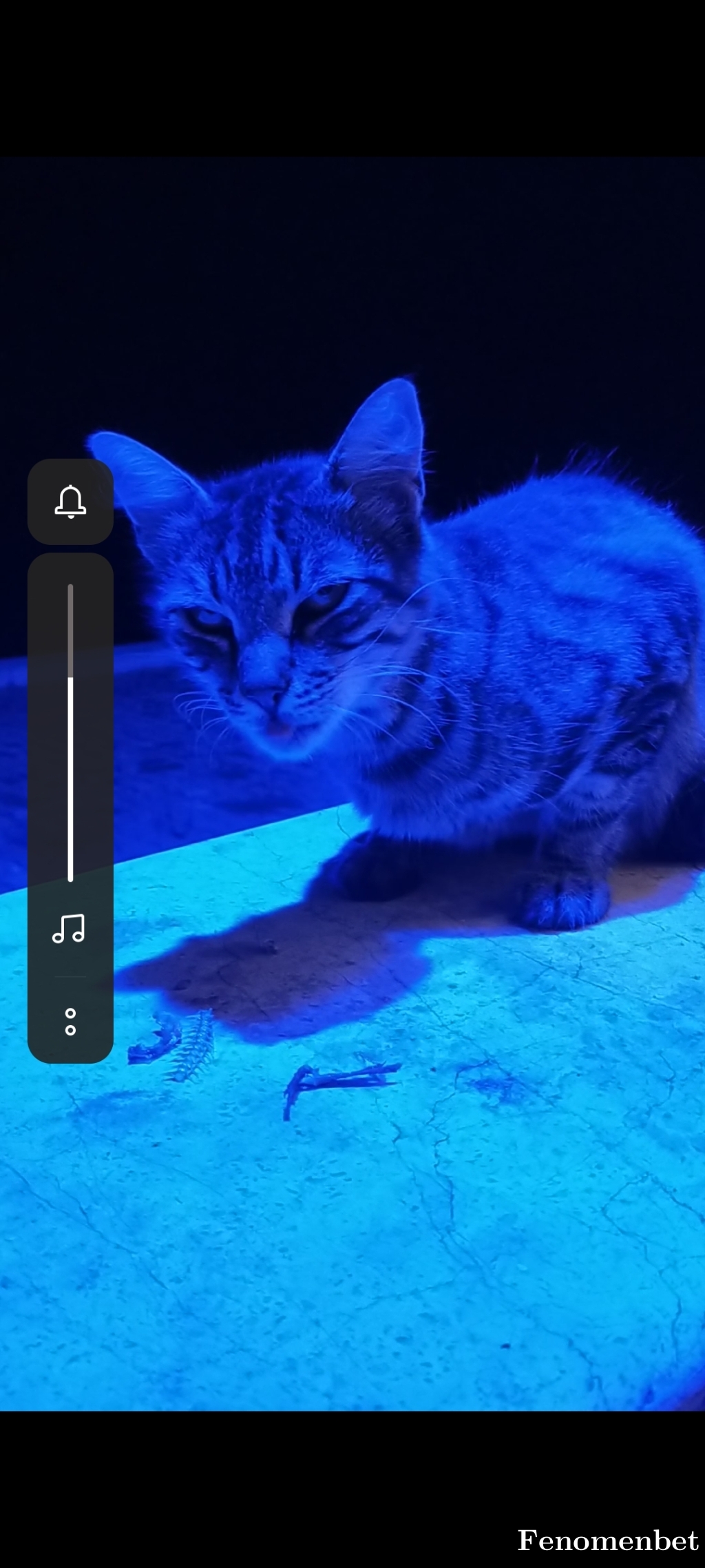 ercem1 tarafından paylaşıldı