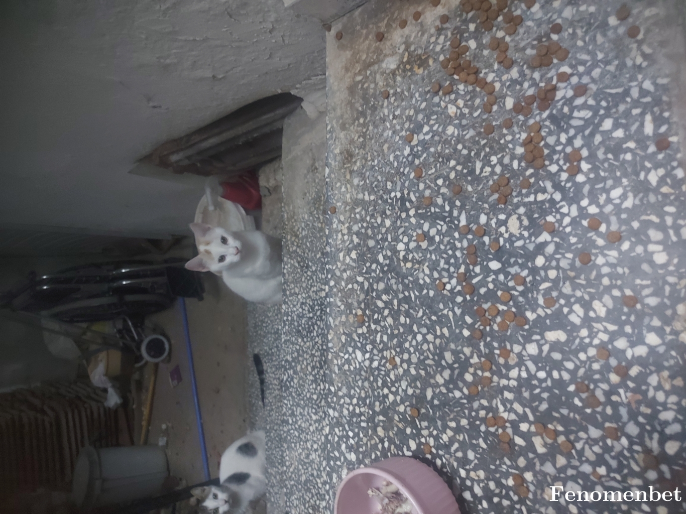 Canberk353535  tarafından paylaşıldı