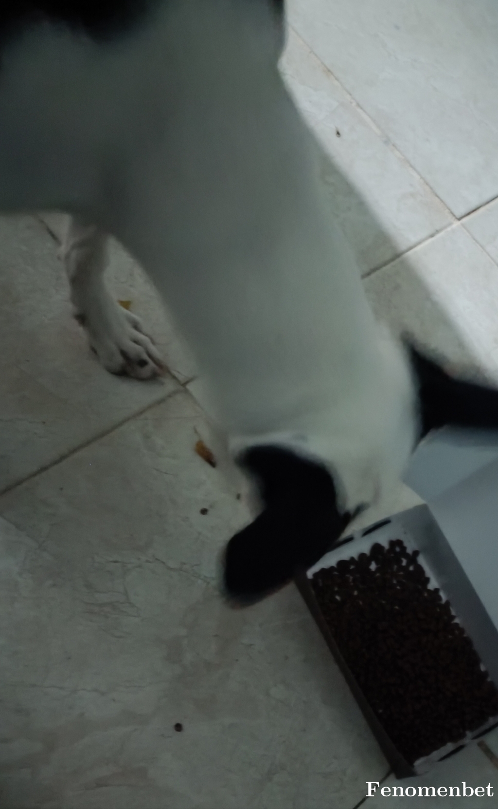 Jardel1905 tarafından paylaşıldı