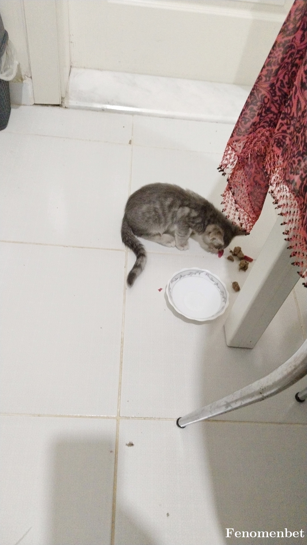 Huriyeacer  tarafından paylaşıldı