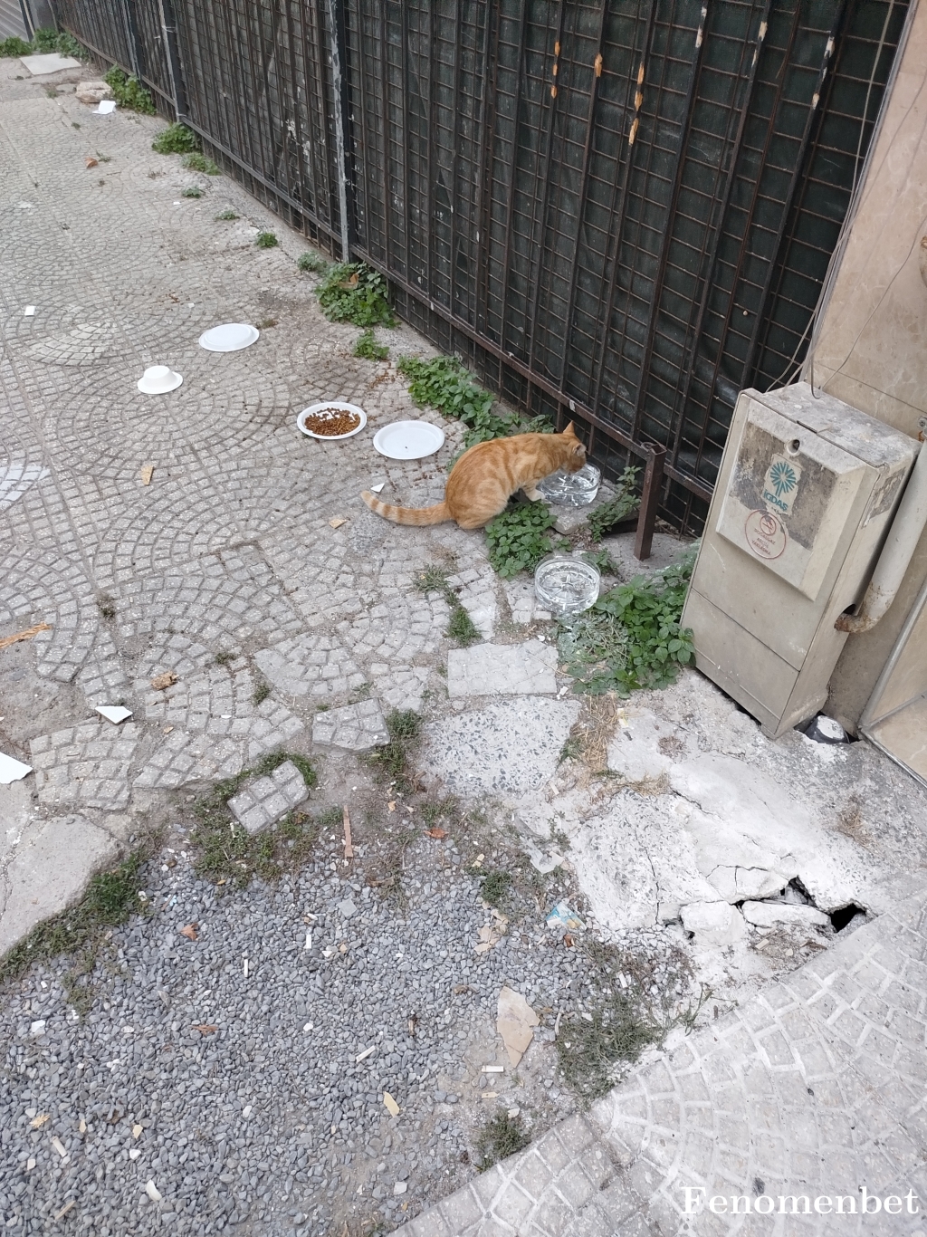 hamdi1079 tarafından paylaşıldı