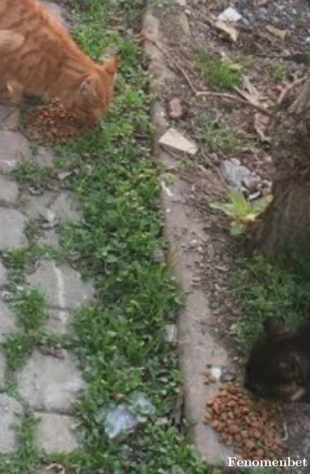 Zonguldakmem67 tarafından paylaşıldı