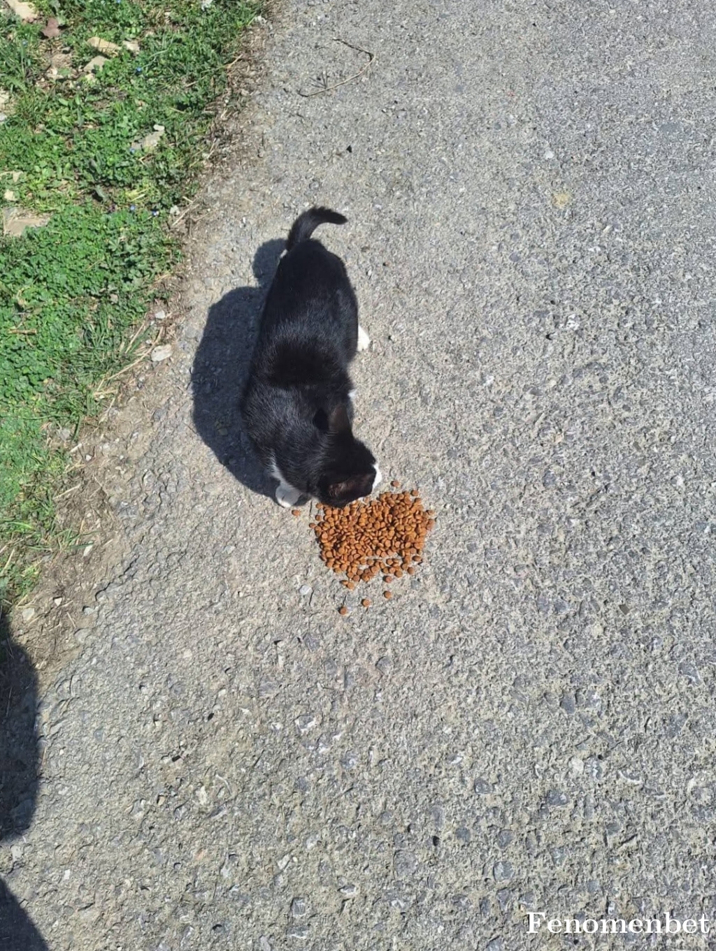 Batmanli7201 tarafından paylaşıldı