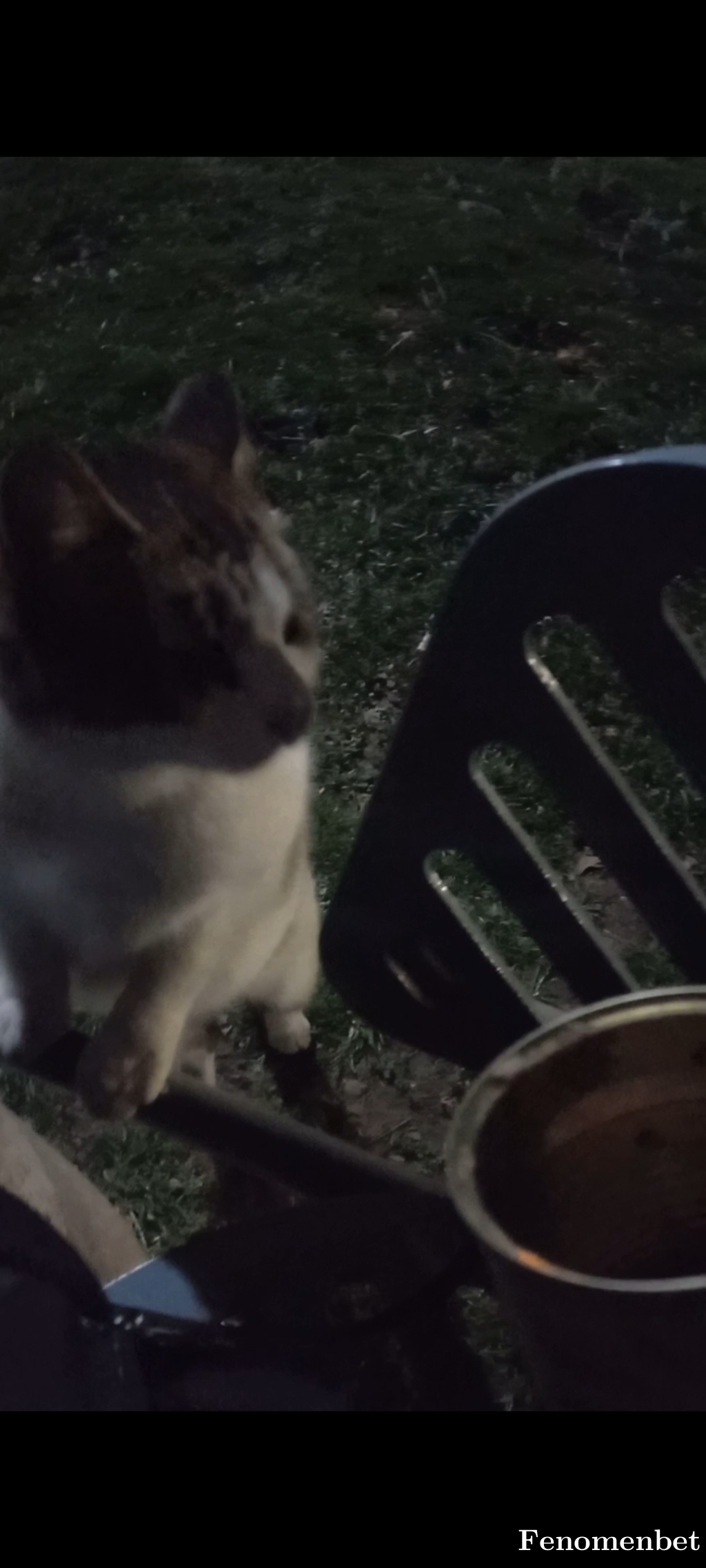 Bal0402 tarafından paylaşıldı