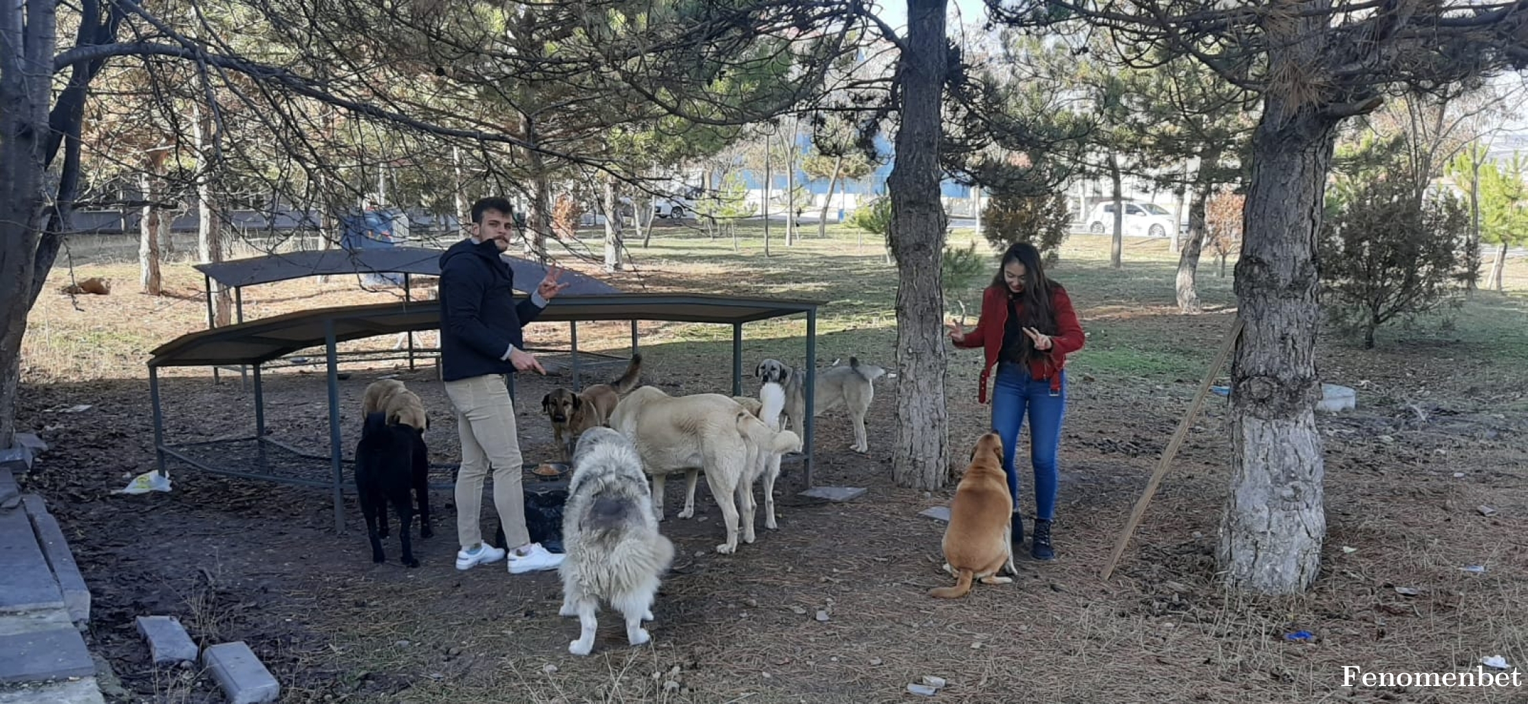 saltuk9898e tarafından paylaşıldı