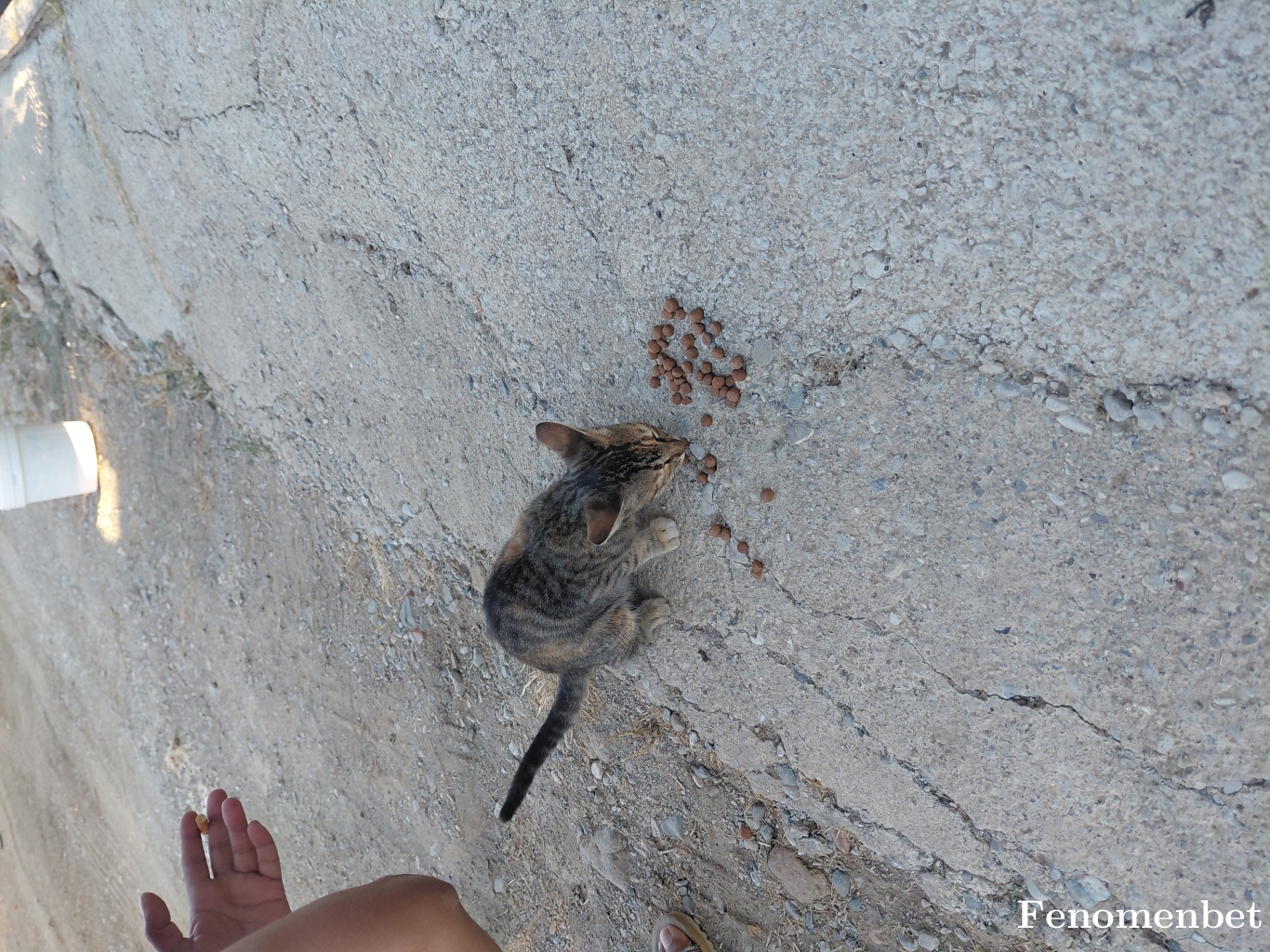 eminegezen48 tarafından paylaşıldı