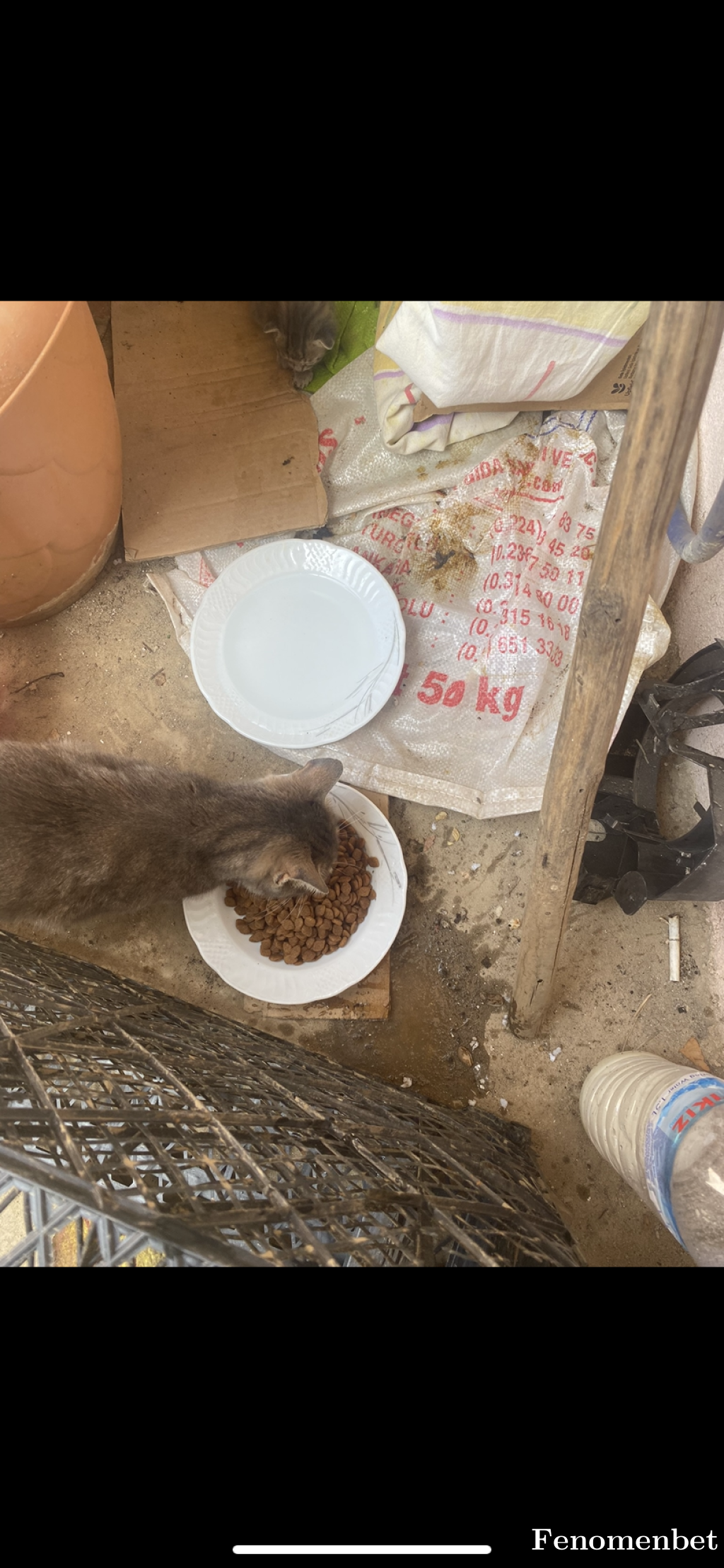 Arkoselo tarafından paylaşıldı